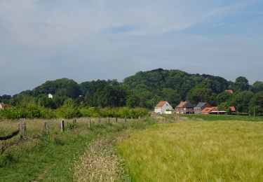 Tocht Elektrische fiets Godewaarsvelde - Les hauts de Flandres - Les monts - Photo