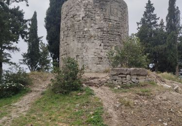 Tocht Stappen Calvisson - Calvisson Les 3 moulins - Photo