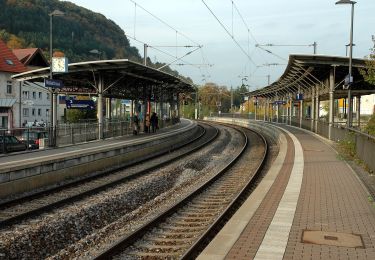 Randonnée A pied Mosbach - Rundwanderweg Mosbach 4: Henschelberg-Weg - Photo