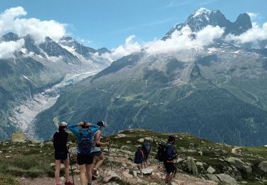Tocht Stappen Chamonix-Mont-Blanc - Lac Blanc - Photo