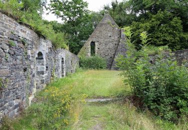 Trail On foot Villers-la-Ville - Le coureur des bois - Photo