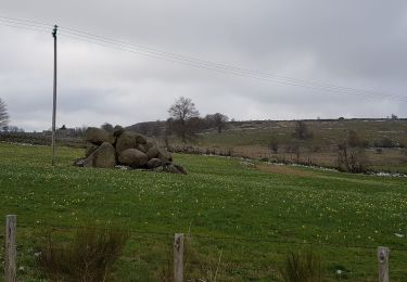 Excursión Senderismo Prinsuéjols-Malbouzon - prinsueljols-aubrac etape st Jacques  - Photo