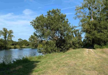 Tour Wandern Saint-Georges-sur-Cher - Saint-Georges-sur-Cher - 2016 03 27 - Photo