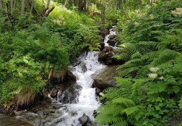 Trail Walking Sainte-Foy-Tarentaise - Le Planay dessous depuis la Bataillette  - Photo