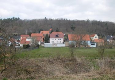 Trail On foot Bad Bibra - Bibertalweg - Photo