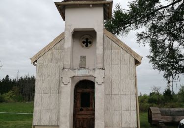 Tour Wandern La Montagne - la montagne 1000 étangs  - Photo