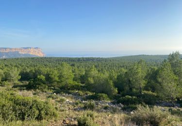 Excursión Senderismo Marsella - Calanques d’en vau- port pins - Photo