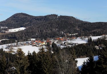 Tocht Te voet Semriach - Wanderweg 16 - Photo