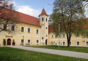 Tocht Te voet Gemeinde Atzenbrugg - Schubertrunde - Photo