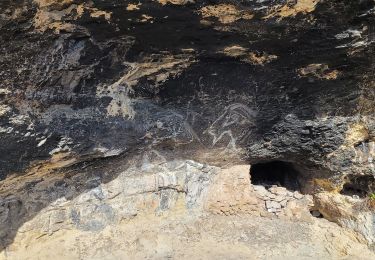 Excursión Senderismo Allauch - Allauch grottes et sources - Photo
