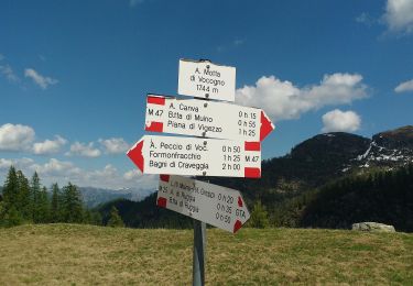 Randonnée A pied Santa Maria Maggiore - (SI E66) Alpe Cortevecchio (Rifugio Bonasson) - Bivacco Greppi - Photo