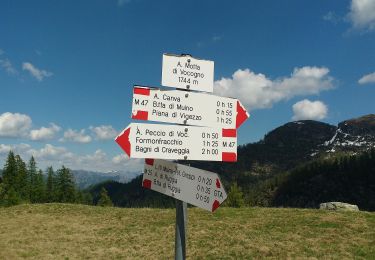 Tocht Te voet Santa Maria Maggiore - (SI E66) Alpe Cortevecchio (Rifugio Bonasson) - Bivacco Greppi - Photo