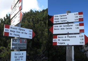 Randonnée A pied Altopiano della Vigolana - IT-E450 - Photo
