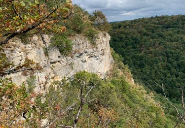 Excursión Senderismo Arbois - Arbois - Les planches - Rocher du feu - Arbois  - Photo