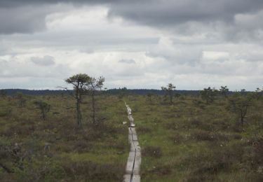 Trail On foot  - Lilla Lövö Runt - Photo