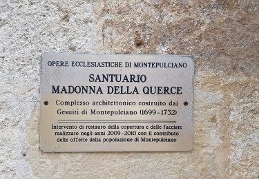 Tour Zu Fuß Montepulciano - Sentiero del Nobile - Photo