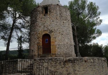 Tocht Stappen Le Tholonet - Du  Tholonet  Moulin de Cézanne, Aqueduc romain et barrage de Zola  - Photo