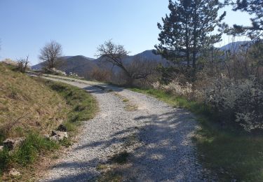 Tocht Stappen Furmeyer - La Lauze de Pennes - Photo