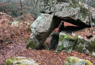 Tour Wandern Fontainebleau - maison forestière Bois le roi 1er décembre 2023 - Photo