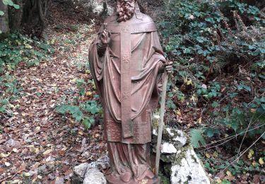 Tour Wandern Bogny-sur-Meuse - bogny  club du mercredi  - Photo