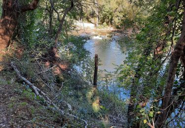 Tour Wandern Le Thoronet - Thoronetle canal ste croix villagepetelin - Photo