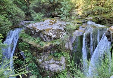 Tour Wandern Casteil - Gorges du Cady Abbaye St Martin_T - Photo