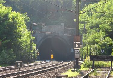 Tocht Te voet Eichgraben - Hinterleiten - Rekawinkel - Photo