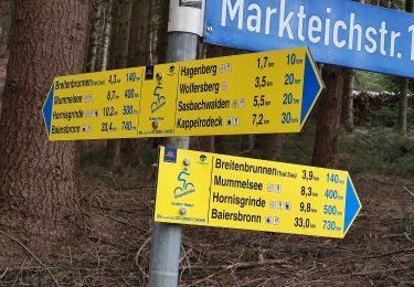 Randonnée A pied Sasbachwalden - Hinterer Wasen - Breitenbrunnen - bequemer Weg - Photo