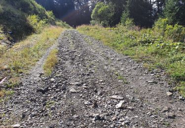 Trail Walking Troistorrents - Morgins-Savolaires - Photo