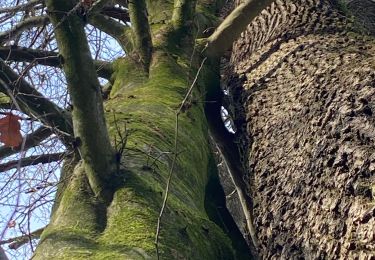 Tour Wandern Gerpinnes - Première de février  - Photo