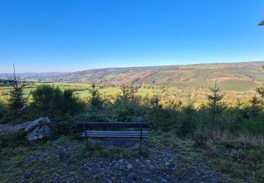 Trail Walking Stoumont - A la découverte du village d'Exbomont - Photo