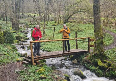 Trail Walking Soultz-Haut-Rhin - Rando Marcheurs..04/04_2025 - Photo