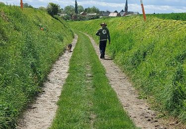 Trail Walking Pont-à-Celles - Marche éphémère Liberchirs - Photo