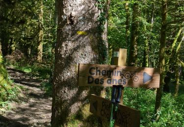 Trail Walking Arbas - Arbas, chemin du facteur avec extension Penne blanque - Photo