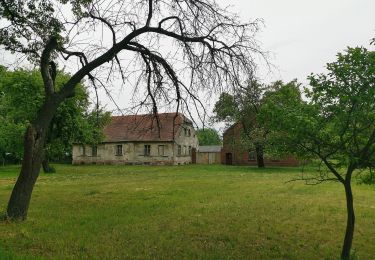 Percorso A piedi Briesen - Wanderweg Briesen-Striesow-Dissen-... - Photo