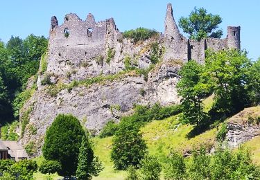 Tour Wandern Onhaye - Promenade vers les ruines de Montaigle  - Photo