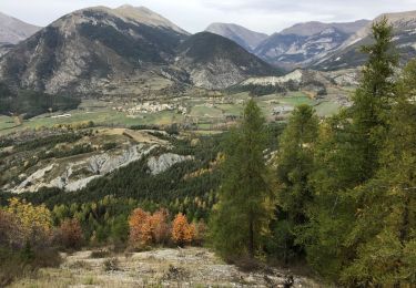 Percorso Mountainbike Saint-André-les-Alpes - 28 octobre 2019 : Montagne de Maurel - Photo