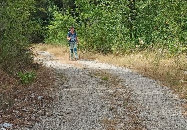 Trail Walking Digne-les-Bains - Les Dourbes - Barre des Doubes - Photo