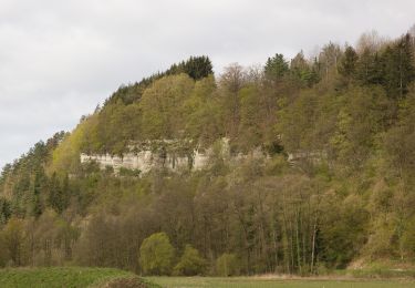 Randonnée A pied Marktrodach - Kübelberg-Weg RT 26 - Photo