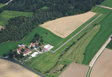 Excursión A pie Sulzbach-Rosenberg - Naherholungsgebiet Obere Wagensass 7 - Photo