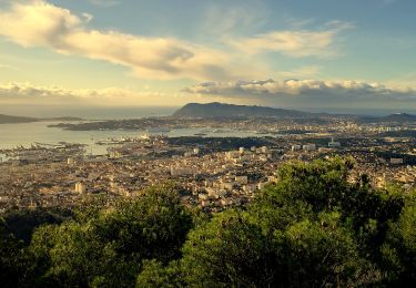 Tocht Stappen Toulon - Uba - St antoine - Sommet du Faron - Ch. Emile Vincent - Retour - Photo