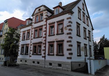 Tour Zu Fuß Gunzenhausen - Dr.-Heinrich-Eidam-Weg - Photo