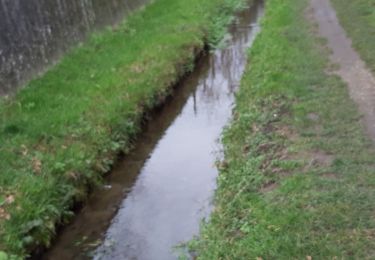 Trail Walking Bourg-de-Péage - étang de chaleyre  - Photo