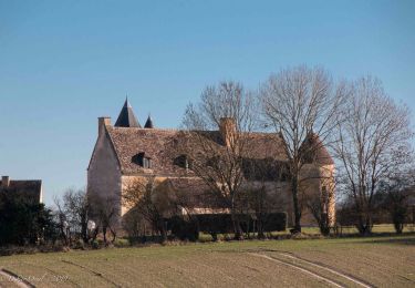 Randonnée Marche Berd'huis - Berd'huis - Prieuré de Sainte-Gauburge via Préaux-du-Perche 10 km - Photo