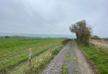 Trail Walking Comblain-au-Pont - Rando GR - Photo