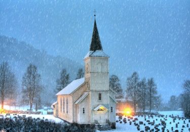 Tour Zu Fuß  - Kolgrovheia - Photo