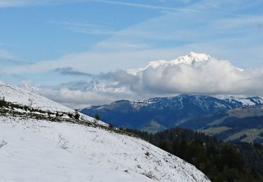 Randonnée Marche Ugine - chateau - Photo