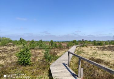 Excursión A pie Spa - Domaine de Bérinzenne et arboterum de Tahanfagne - Photo