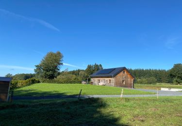 Tocht Stappen Saint-Hubert - Saint-Hubert - Hurtebise - Photo