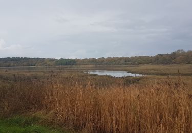 Randonnée Marche Baden - 20191121CAA LE. GOLF BADEN LE BONO - Photo